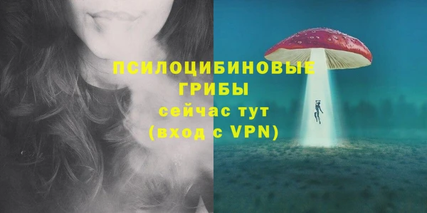 СК Лиски