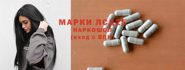 PSILOCYBIN Лихославль