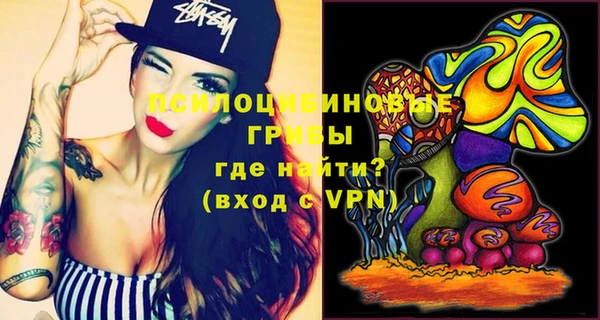 PSILOCYBIN Лихославль