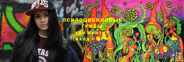 PSILOCYBIN Лихославль