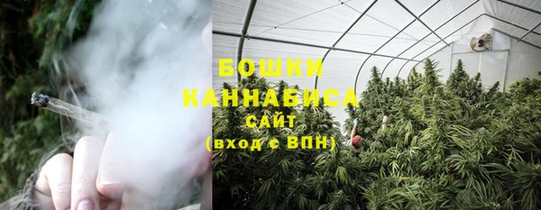 PSILOCYBIN Лихославль