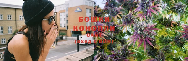PSILOCYBIN Лихославль