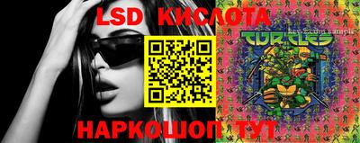 крисы Жуковский
