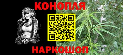крисы Жуковский