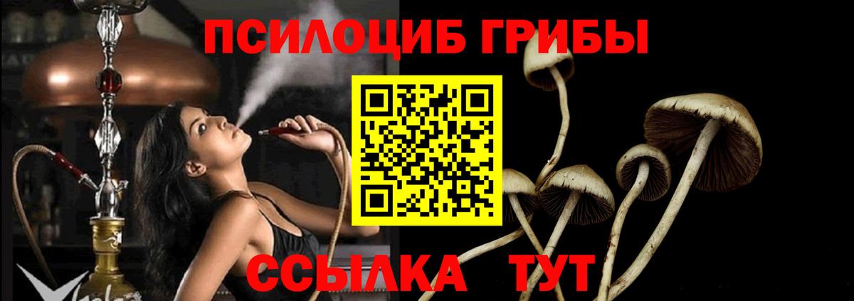 Ухта  Галлюциногенные грибы Psilocybine cubensis  Псилоцибиновые грибы мицелий  Вход с VPN 